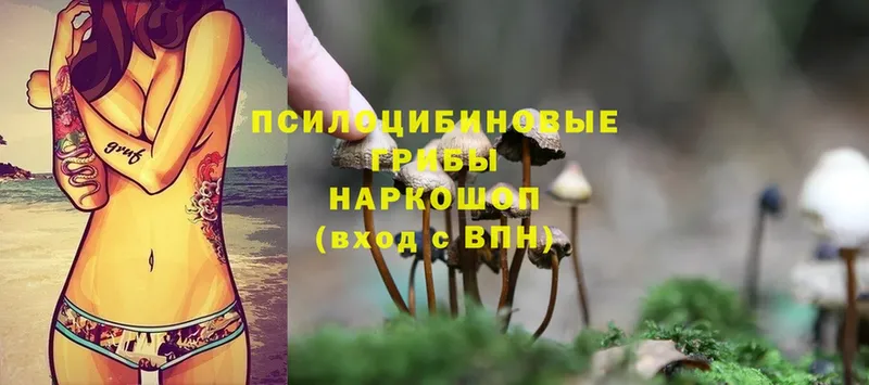 Псилоцибиновые грибы Magic Shrooms Бугуруслан